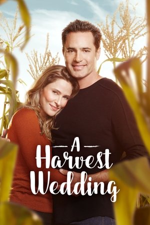 Watch Free A Harvest Wedding (2017)