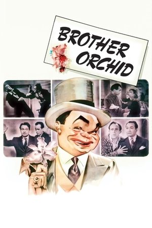 Watch Free Brother Orchid (1940)