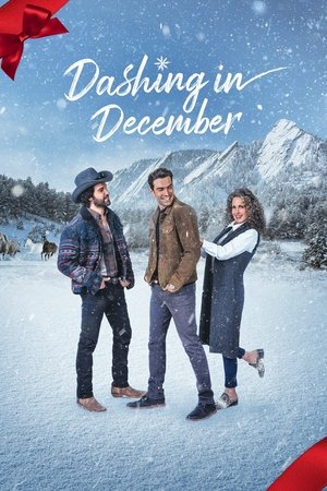 Watch Free Dashing in December (2020)