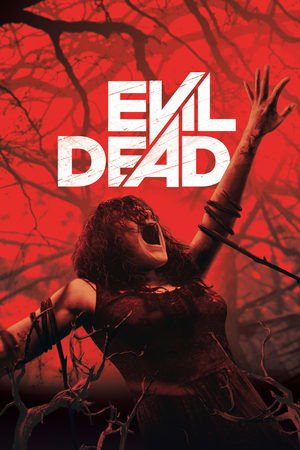 Watch Free Evil Dead (2013)