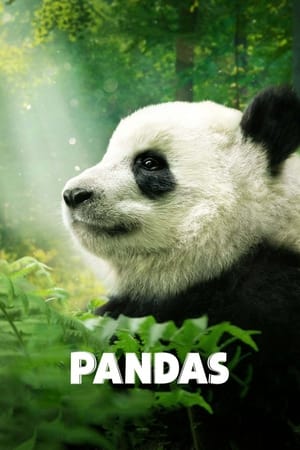 Watch Free Pandas (2018)