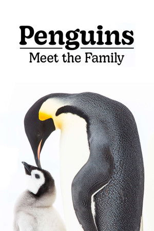 Watch Free Penguins Meet the Family (2020)