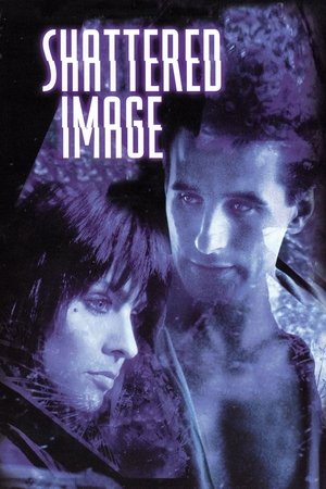 Watch Free Shattered Image (1998)