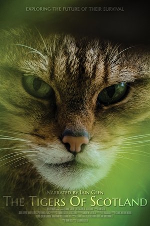 Watch Free The Tigers of Scotland (2017)