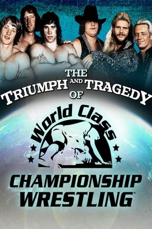 Watch Free The Triumph and Tragedy of World Class Championship Wrestling (2007)