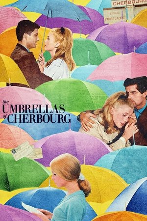 Watch Free The Umbrellas of Cherbourg (1964)