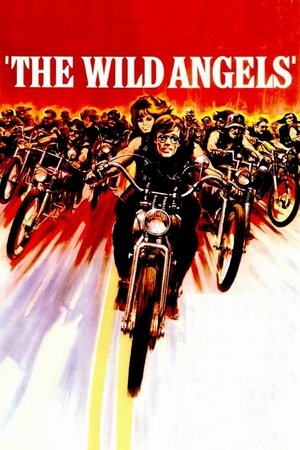 Watch Free The Wild Angels (1966)