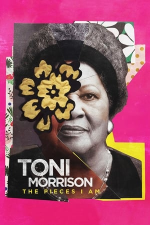 Watch Full Movie: Toni Morrison The Pieces I Am (2019)