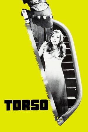 Watch Free Torso (1973)