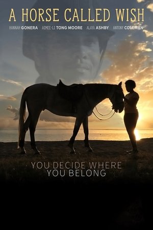 Watch Free A Horse Called Wish (2019)