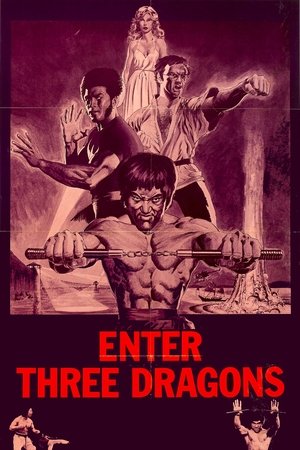 Watch Free Enter Three Dragons (1978)