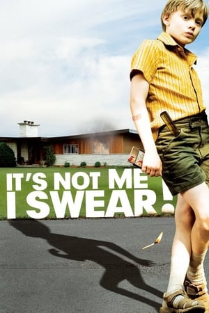 Watch Free Its Not Me, I Swear (2008)