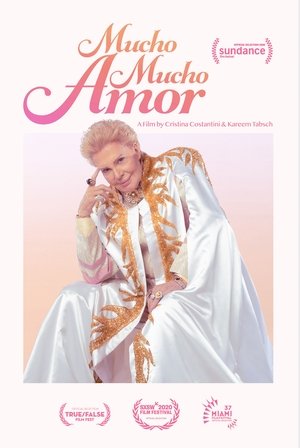 Watch Free Mucho Mucho Amor The Legend of Walter Mercado (2020)