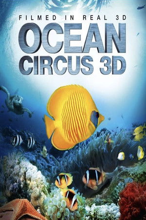 Watch Free Ocean Circus 3D: Underwater Around the World (2012)