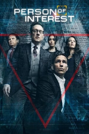Watch Free Person of Interest