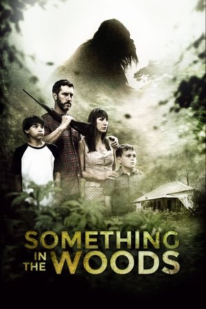 Watch Free Something in the Woods (2016)