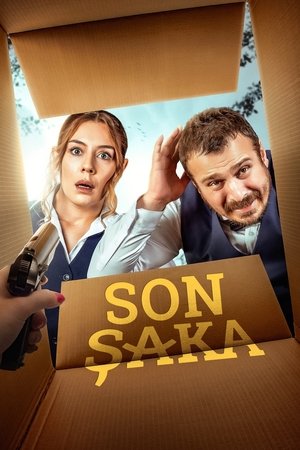 Watch Free Son Saka (2020)