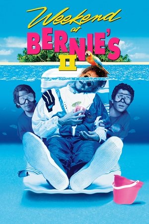 Watch Free Weekend At Bernies 2 1993