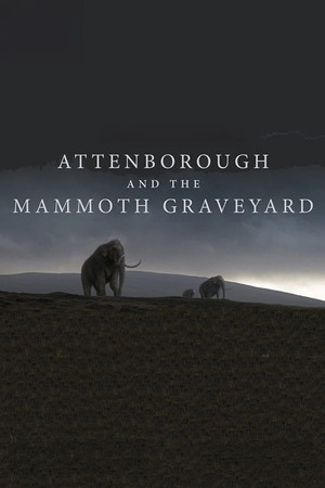 Watch Free Attenborough and the Mammoth Graveyard (2021)