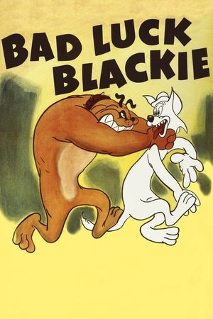 Watch Free Bad Luck Blackie (1949)
