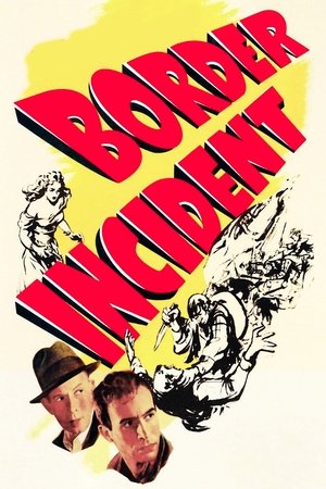 Watch Free Border Incident (1949)