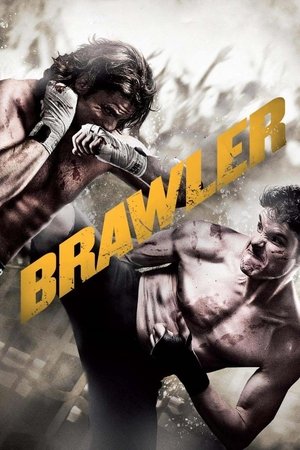 Watch Free Brawler (2011)