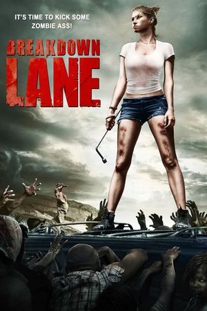 Watch Free Breakdown Lane (2017)