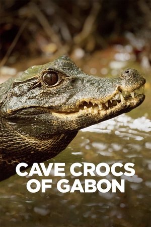 Watch Free Cave Crocs of Gabon (2018)