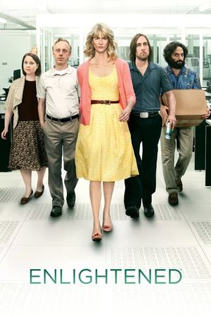 Watch Free Enlightened (2011 2013)