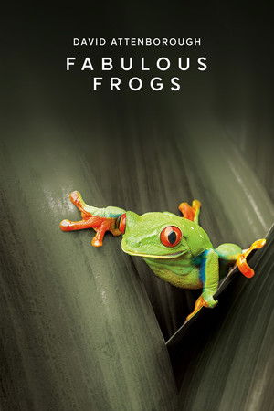 Watch Free Fabulous Frogs (2014)