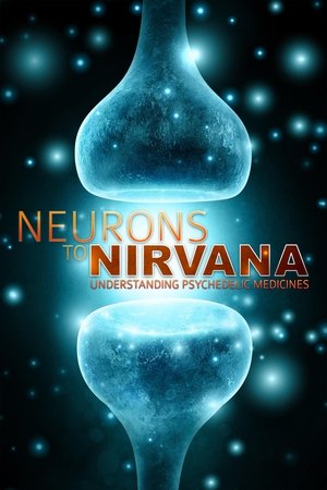 Watch Free Neurons to Nirvana (2013)