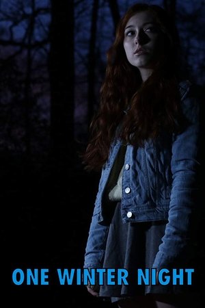 Watch Free One Winter Night (2019)