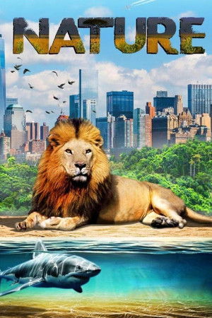 Watch Free Our Nature (2019)