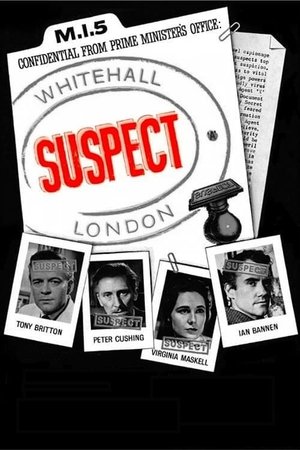Watch Free The Risk (1960)