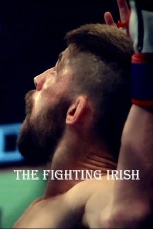 Watch Free The Fighting Irish (2015)