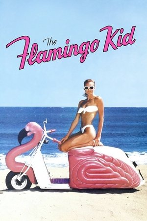 Watch Free The Flamingo Kid (1984)