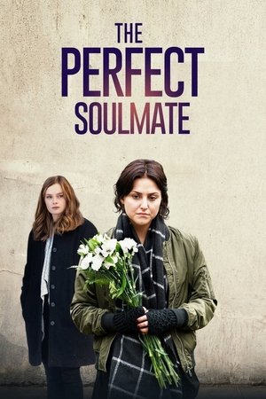 Watch Free The Perfect Soulmate (2017)