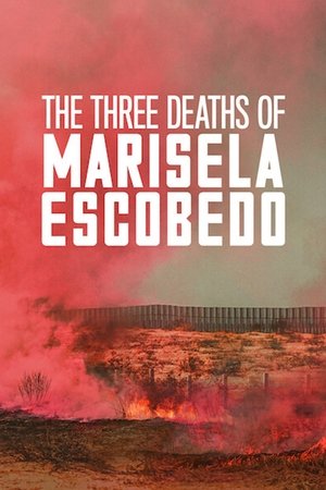 Watch Free The Three Deaths of Marisela Escobedo (2020)