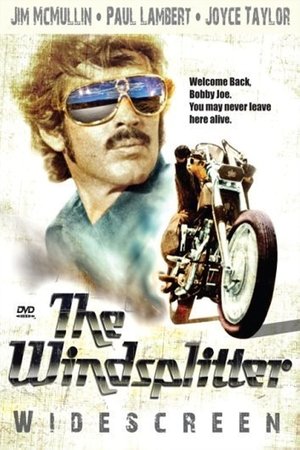 Watch Free The Windsplitter (1971)