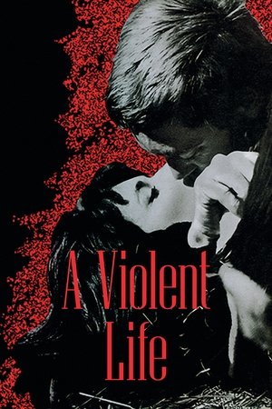 Watch Free Violent Life (1962)