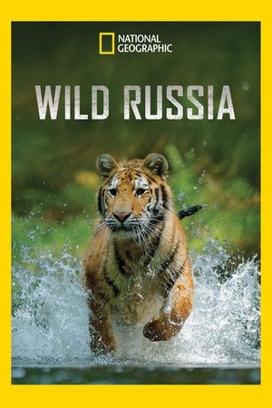 Watch Free Wild Russia (2008-)