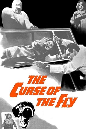 Watch Free Curse of the Fly (1965)