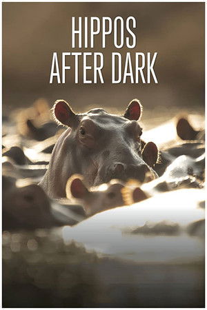 Watch Free Hippos After Dark (2015)