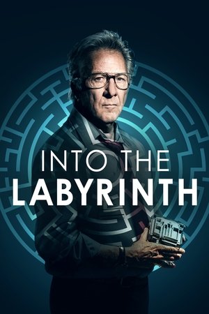 Watch Free Into the Labyrinth (2019)