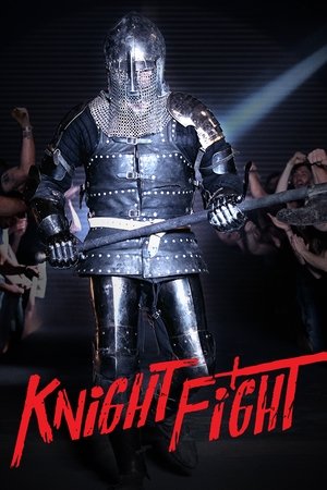 Watch Free Knight Fight TV Series (2019 - )