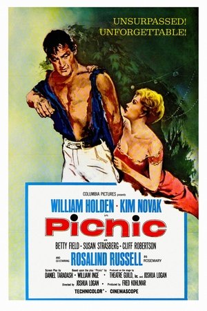 Watch Free Picnic (1955)