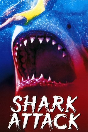 Watch Free Shark Attack (1999)