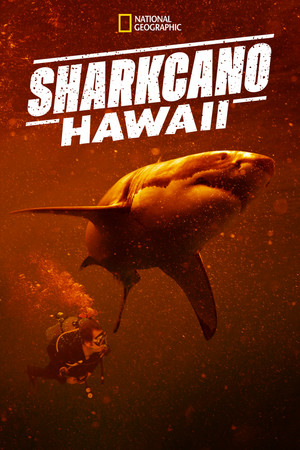 Watch Free Sharkcano Hawaii (2023)