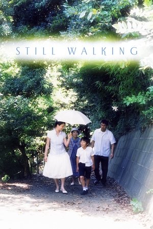 Watch Free Still Walking (2008)