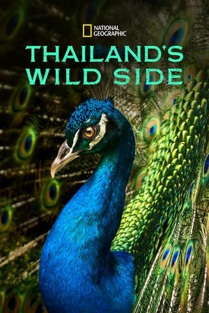 Watch Free Thailands Wild Side (2020)
